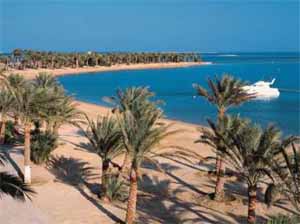 отели сома бей, сома бей отель